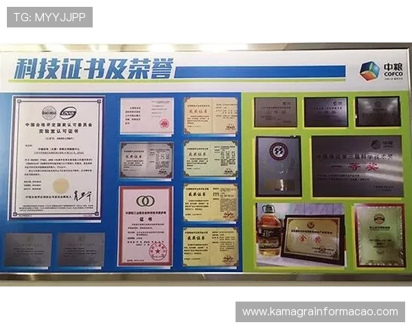 乐鱼体育登陆平台特色功能介绍助你充分利用平台资源提升投注效率